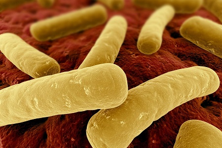 О Токсин А-отрицательных, токсин В-положительных Clostridium difficile О Токсин А-отрицательных, токсин В-положительных Clostridium difficile